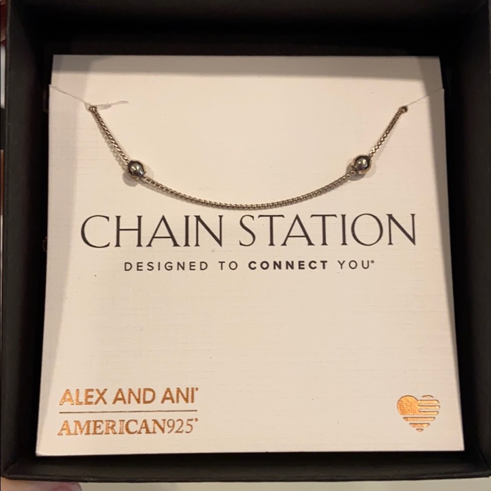 NWT Alex and Ani chain necklace